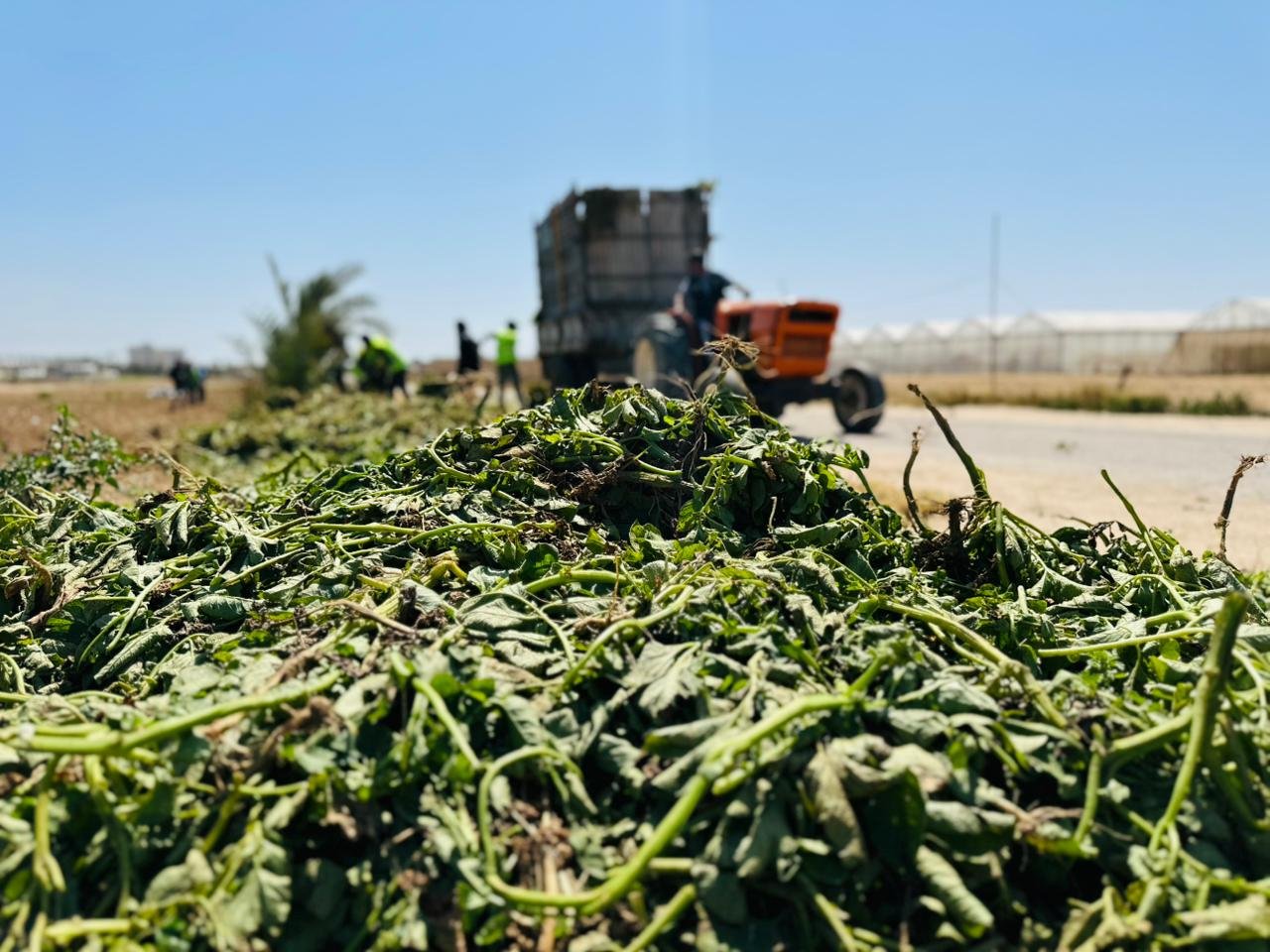 Animal Feed Production from Agricultural Waste